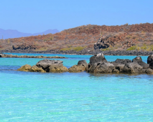 Paseo en bote a la Isla Coronados por 4 horas