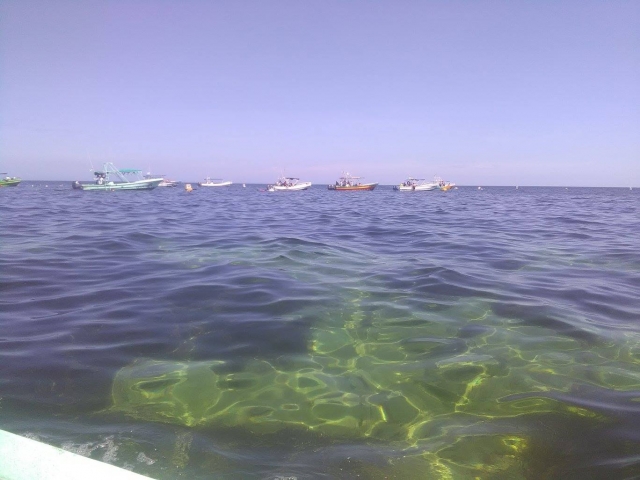 22791688_126200691418258_6135766699308490920_o