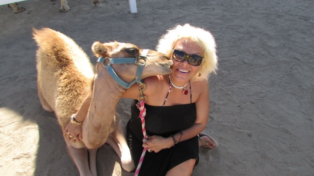 Experiencia única con los camellos de Rosarito