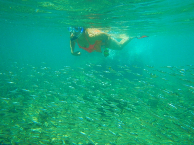 Nadando en los alrededoternera de la isla