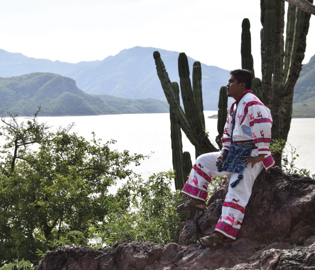 Experiencia en nayarit