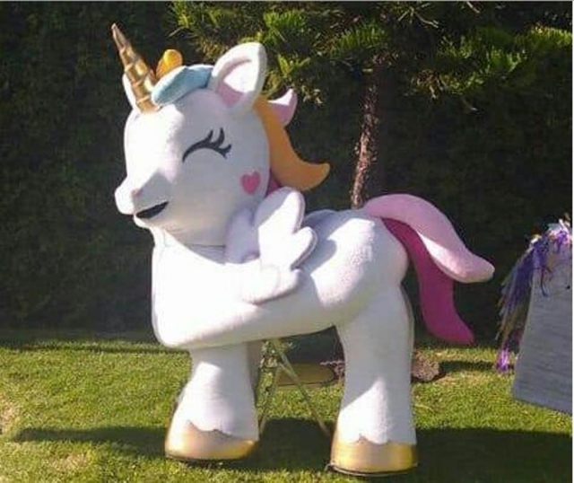 Diversión con el pony