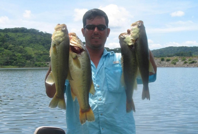 Pesca muchos peces