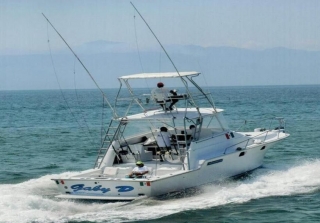 Pesca por 8 horas saliendo de Marina de la Cruz