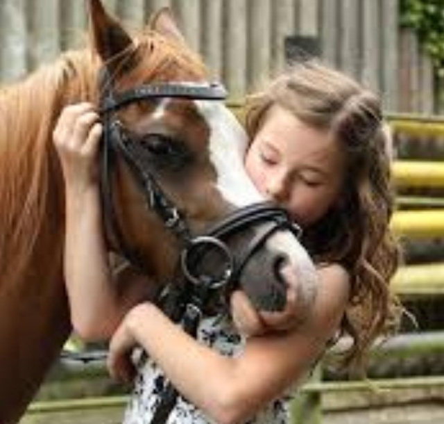 Se enamoraran con nuestros increiblererererereres ponis