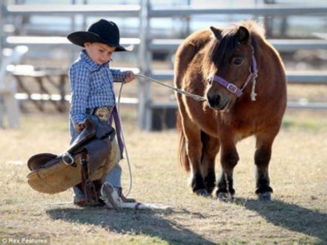 Fiesta con pony