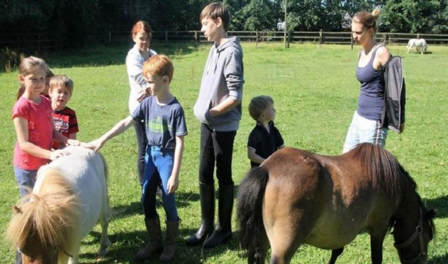 Toda la familia conociendo al pony