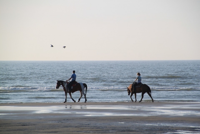 Paseo en la playa 