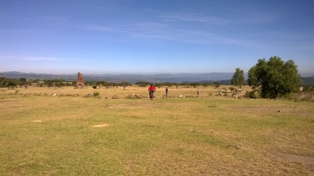Camino en el césped 