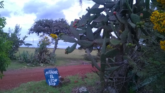 Naturaleza 