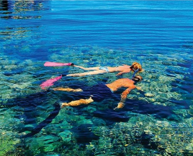 haciendo snorkel haciendo snorkel