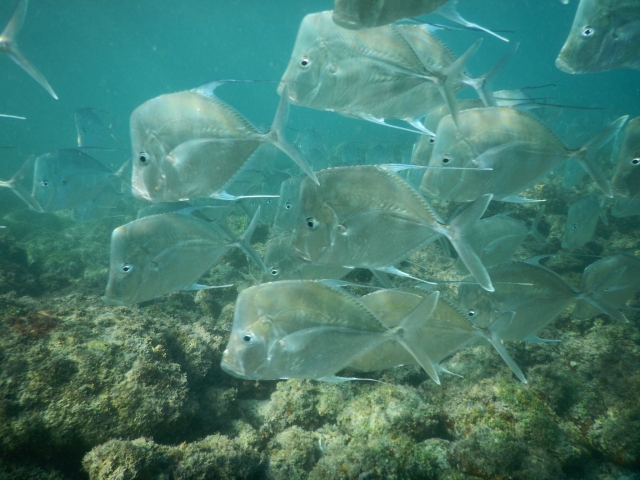 280842221_10159741552487367_1868279342585348791_n