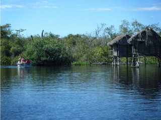 San Blas visita guiada en la jungla niños desde Guayabitos