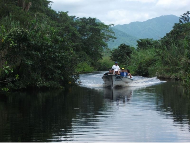 Recorrido en la jungla 