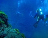 Visita guiada de buceo a Roca Partida desde CDMX 4 días
