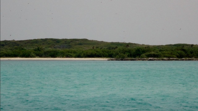 Isla contoy 