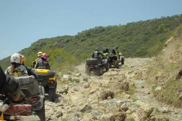 Ruta guiada 
