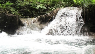 Senderismo entre Cascadas en Río Copalitilla 9Hrs