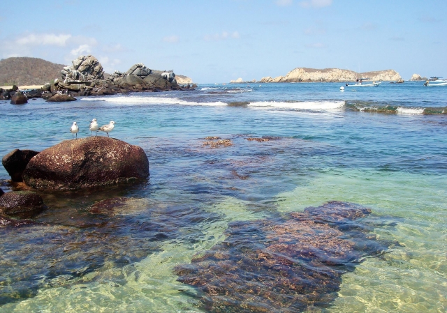 Paseo por las bahias 