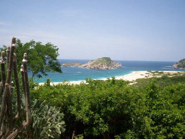 Selvas de huatulco 