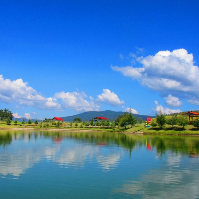 Pantano del parque