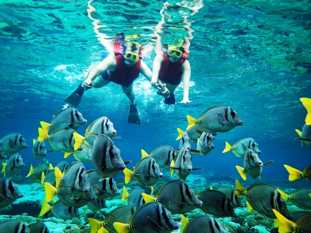 Practica snorkel en la playa 