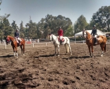 Mes de clases de equitación, escuela en Xochimilco