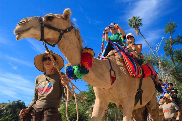 Paseo por el oasis en medio del desierto 