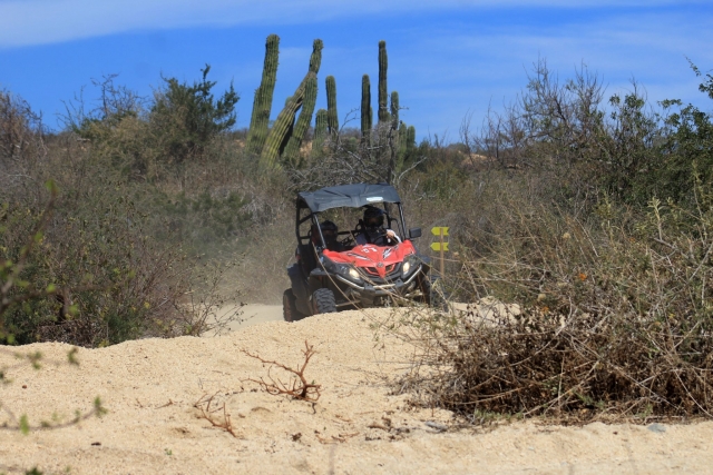 Conduce por distintos escenarios 