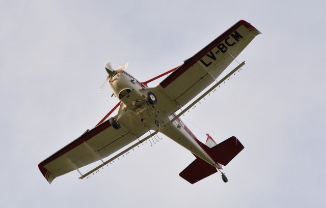 Pide matrimonio en el aire