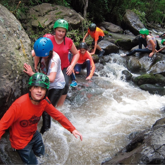 Disfrutando el canon