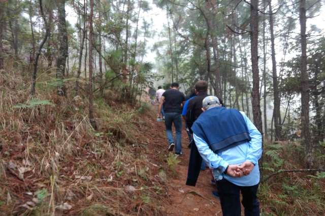 Montando al bosque