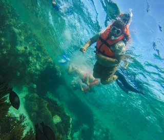 Visita guiada privado de snorkel en Isla Mujeres