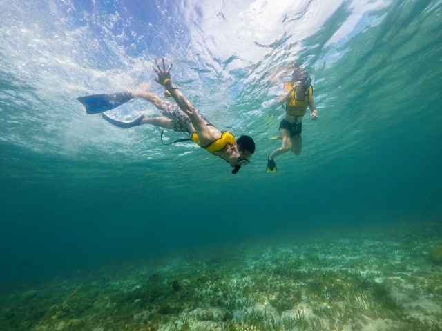 Snorkel