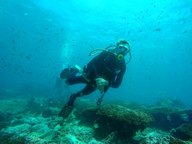 Experiencia de bucear en Ixtapa Zihuatanejo