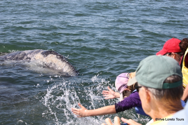 Para toda la familia
