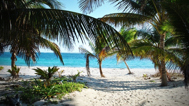 visita guiada a islas de holbox