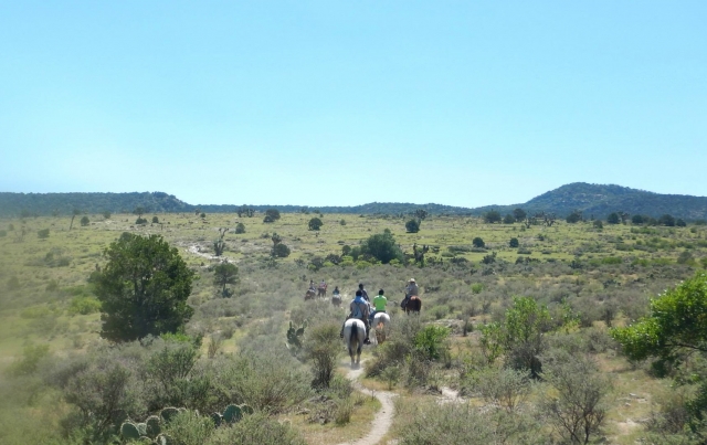 Camino en jalpa