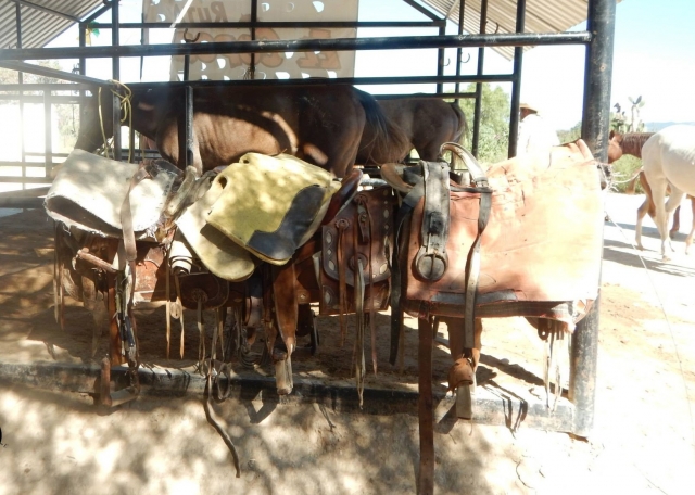 Ensillamiento del caballo 