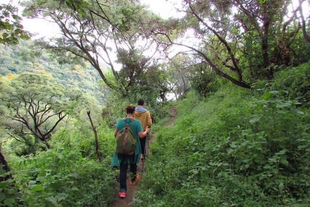 Sendero  en el montaña