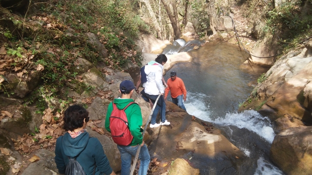 Recorrido por el arroyo 