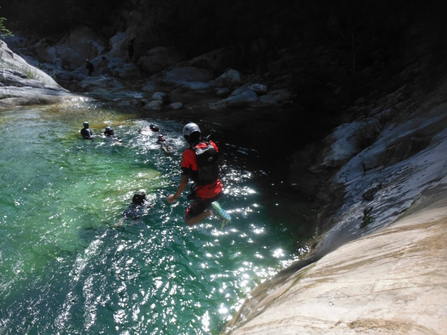 Ruta de hidrofobia