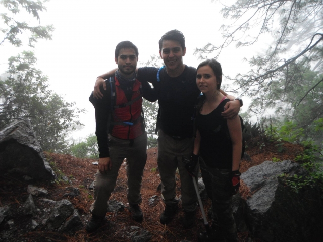 Ruta de chipitin