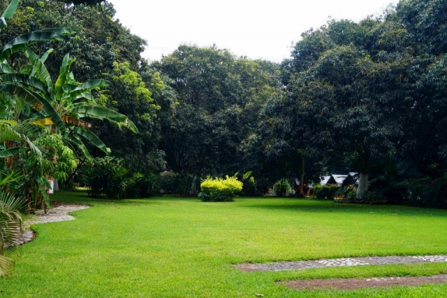 Areas verdererererereres 