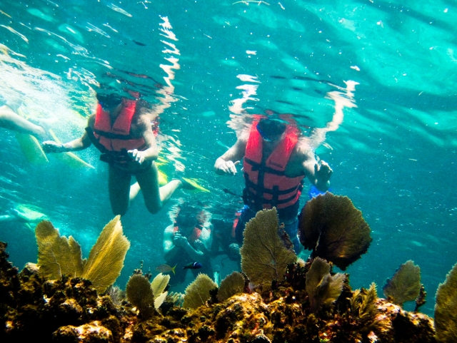 Snorkel 