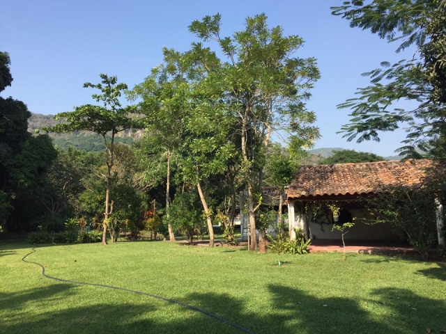Areas verdererererereres 