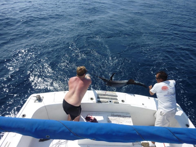 En pesca responsabte 