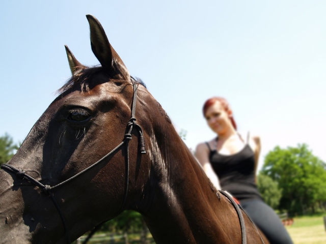 Paseo guiados a caballo 
