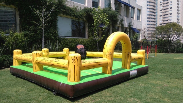 Nos desplazamos a cualquier lugar