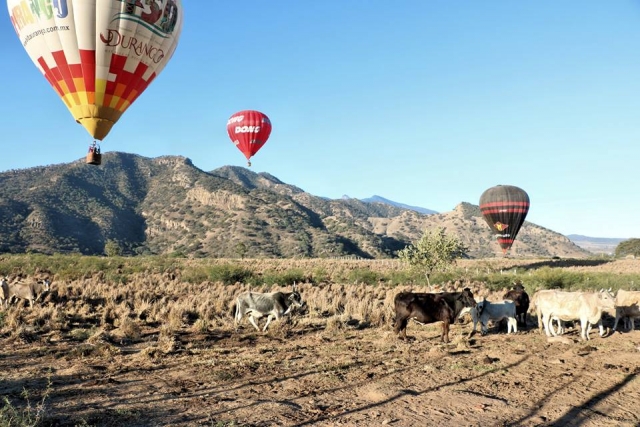 Disfruta de un paseo en globo 